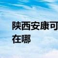 陕西安康可提供SKG电压力锅维修服务地址在哪