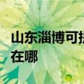 山东淄博可提供艾美特电压力锅维修服务地址在哪