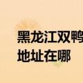 黑龙江双鸭山可提供SKG电压力锅维修服务地址在哪