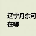 辽宁丹东可提供SKG电压力锅维修服务地址在哪