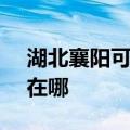 湖北襄阳可提供SKG电压力锅维修服务地址在哪