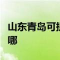 山东青岛可提供双喜电压力锅维修服务地址在哪