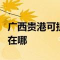 广西贵港可提供艾美特电压力锅维修服务地址在哪