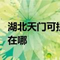 湖北天门可提供每时乐电压力锅维修服务地址在哪