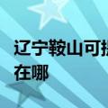 辽宁鞍山可提供艾美特电压力锅维修服务地址在哪