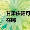 甘肃庆阳可提供SKG电压力锅维修服务地址在哪