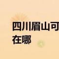四川眉山可提供SKG电压力锅维修服务地址在哪