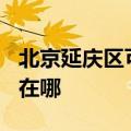 北京延庆区可提供TCL电压力锅维修服务地址在哪