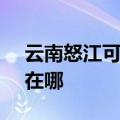 云南怒江可提供SKG电压力锅维修服务地址在哪