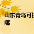 山东青岛可提供欧科电压力锅维修服务地址在哪