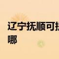 辽宁抚顺可提供洛贝电压力锅维修服务地址在哪