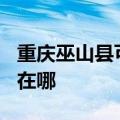 重庆巫山县可提供TCL电压力锅维修服务地址在哪
