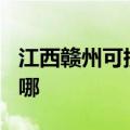 江西赣州可提供TCL电压力锅维修服务地址在哪