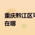 重庆黔江区可提供欧科电压力锅维修服务地址在哪