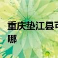 重庆垫江县可提供万和燃气灶维修服务地址在哪