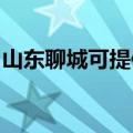 山东聊城可提供老板燃气灶维修服务地址在哪