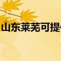 山东莱芜可提供樱花燃气灶维修服务地址在哪
