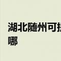 湖北随州可提供苏泊尔燃气灶维修服务地址在哪