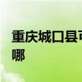 重庆城口县可提供TCL燃气灶维修服务地址在哪