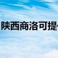 陕西商洛可提供九阳燃气灶维修服务地址在哪