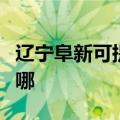 辽宁阜新可提供格兰仕燃气灶维修服务地址在哪