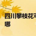 四川攀枝花可提供海尔热水器维修服务地址在哪