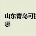 山东青岛可提供万家乐热水器维修服务地址在哪