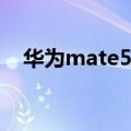 华为mate50最新官方信息（华为Mate）