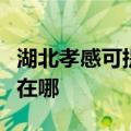 湖北孝感可提供阿里斯顿热水器维修服务地址在哪