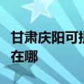 甘肃庆阳可提供四季沐歌热水器维修服务地址在哪