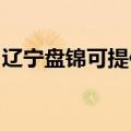 辽宁盘锦可提供樱花热水器维修服务地址在哪