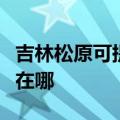 吉林松原可提供四季沐歌热水器维修服务地址在哪