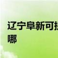 辽宁阜新可提供格兰仕热水器维修服务地址在哪