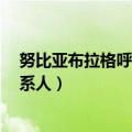 努比亚布拉格呼叫转接在哪里（努比亚布拉格S如何导入联系人）
