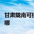 甘肃陇南可提供斯狄渢热水器维修服务地址在哪
