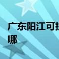 广东阳江可提供澳柯玛热水器维修服务地址在哪