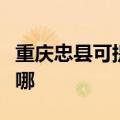 重庆忠县可提供澳柯玛热水器维修服务地址在哪