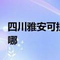 四川雅安可提供赛德隆热水器维修服务地址在哪