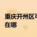 重庆开州区可提供澳柯玛热水器维修服务地址在哪