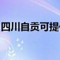 四川自贡可提供康佳豆浆机维修服务地址在哪