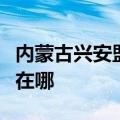 内蒙古兴安盟可提供欧科豆浆机维修服务地址在哪