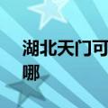 湖北天门可提供SKG电水壶维修服务地址在哪