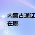 内蒙古通辽可提供SKG电水壶维修服务地址在哪