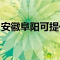 安徽阜阳可提供欧科豆浆机维修服务地址在哪