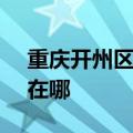 重庆开州区可提供SKG电水壶维修服务地址在哪