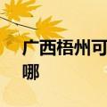 广西梧州可提供SKG电水壶维修服务地址在哪