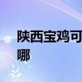 陕西宝鸡可提供SKG电水壶维修服务地址在哪
