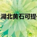 湖北黄石可提供东菱咖啡机维修服务地址在哪