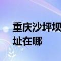 重庆沙坪坝区可提供SKG咖啡机维修服务地址在哪