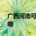 广西河池可提供SKG咖啡机维修服务地址在哪